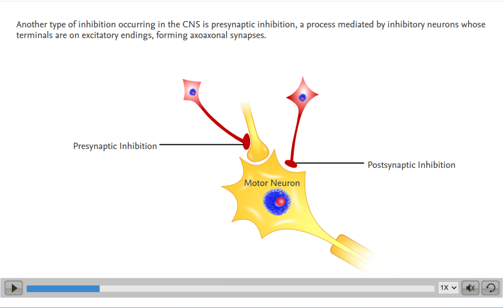 Medical animations